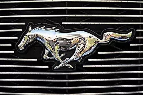 車標(biāo)上的動物都是啥來頭？看完又能出去裝X了