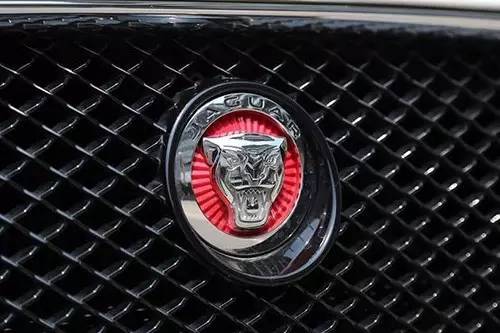 車標(biāo)上的動物都是啥來頭？看完又能出去裝X了