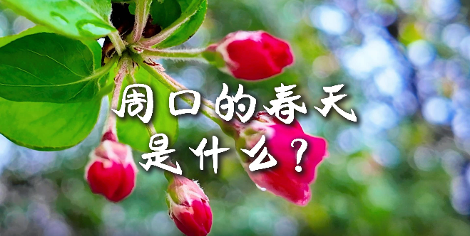 周口的春天，待你慢慢遇見(jiàn)